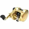 Shimano Calcutta Conquest 300/301 (2018) -Moulinets spinning Soldes Magasin 0000010000000000r 1